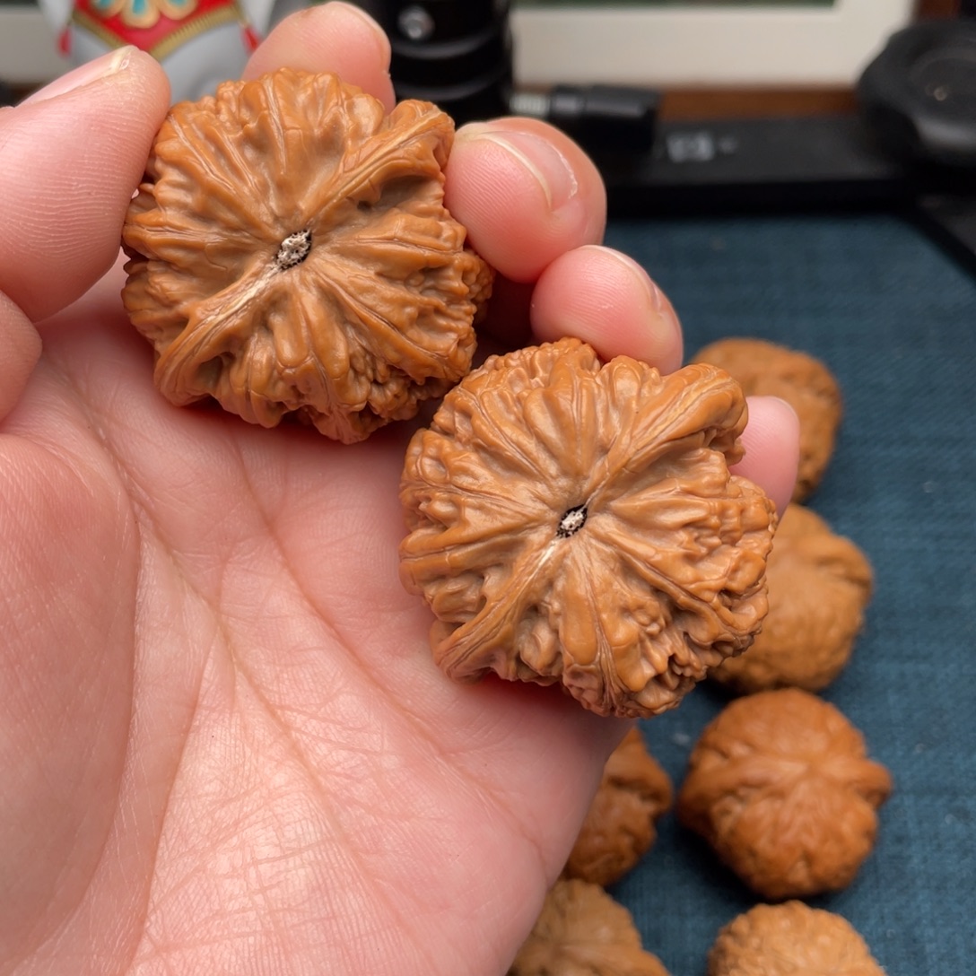 秋***把件文玩核桃全品粗筋43