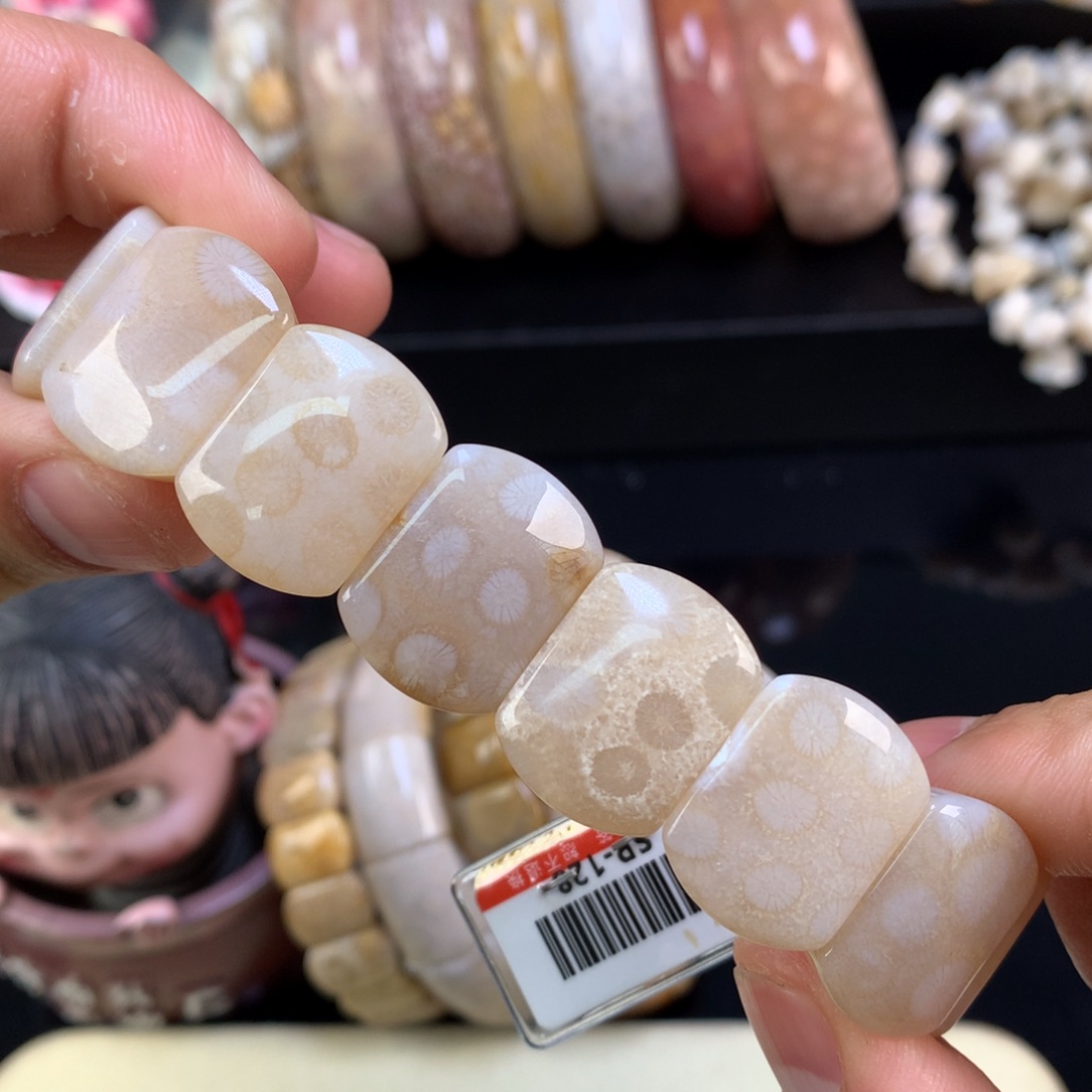 硅化珊瑚（珊瑚玉）未镶嵌颈饰37号白冰