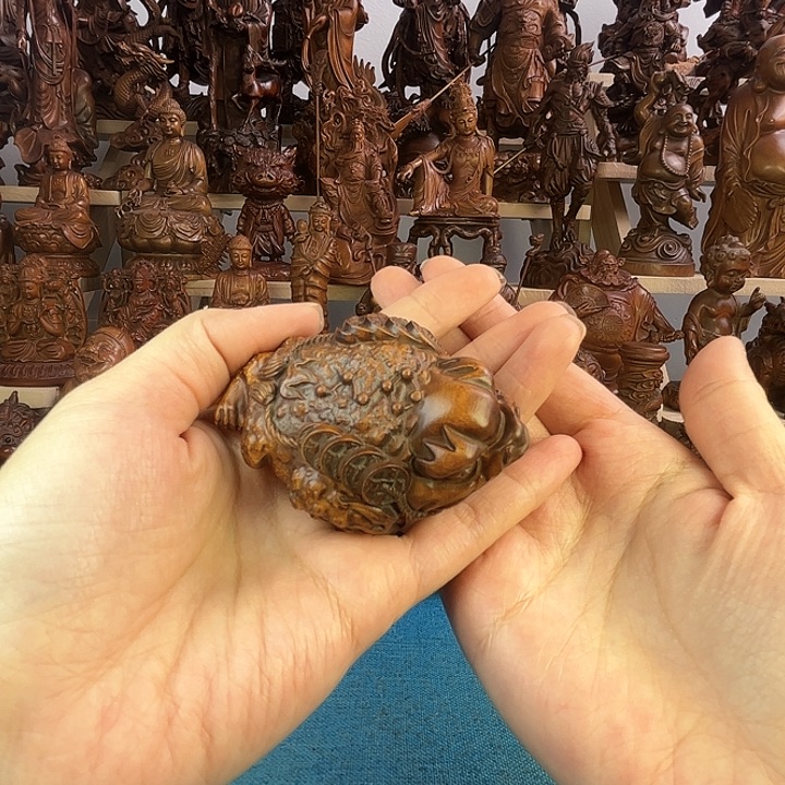 黄杨木小叶黄杨木