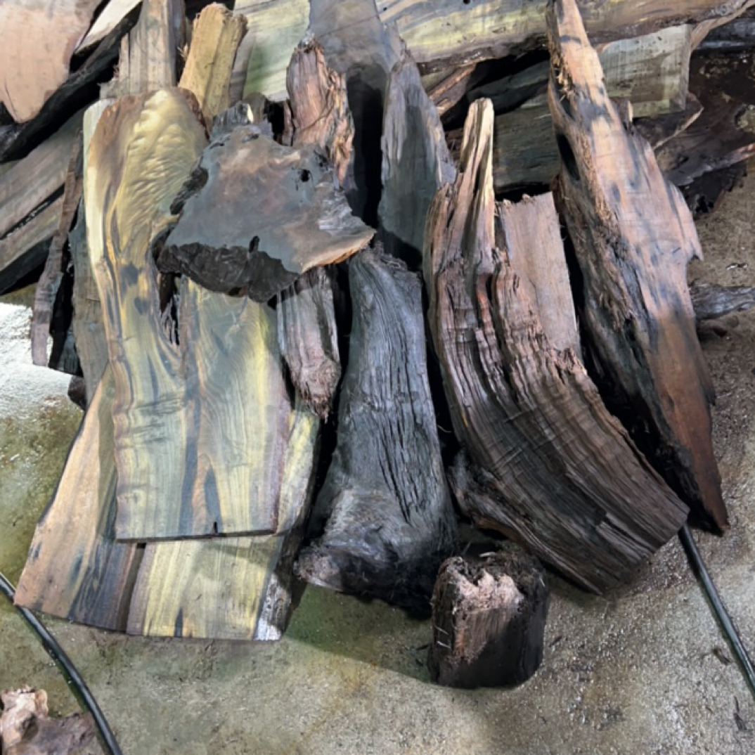 金丝楠乌木原材料自然件