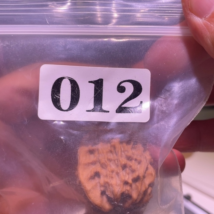 ****晔文玩核桃吊坠012云纹