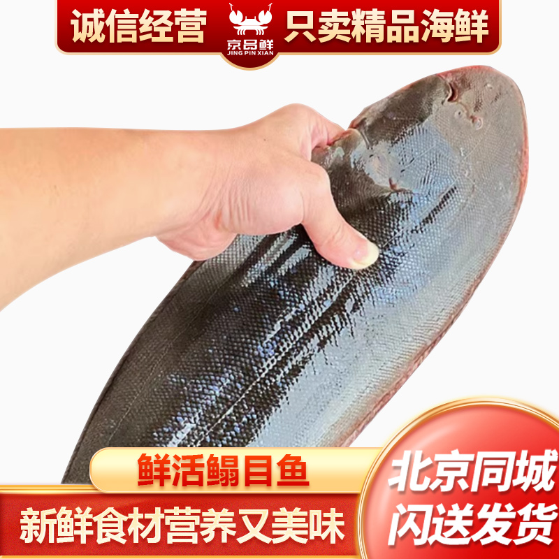 1.8-2.2斤1条 鲜活鳎目鱼龙利鱼