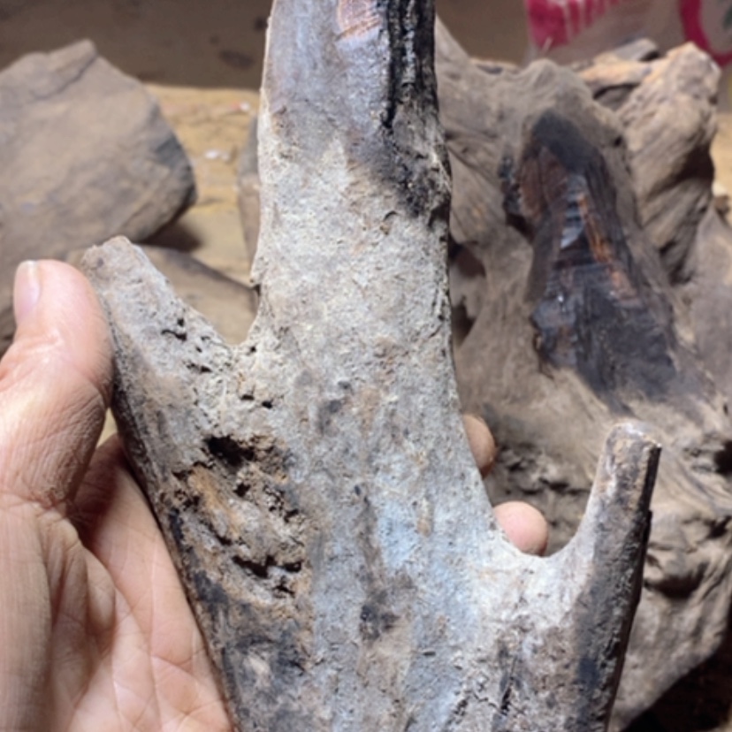 【闪购商品】贡木无事牌D****G定制手串