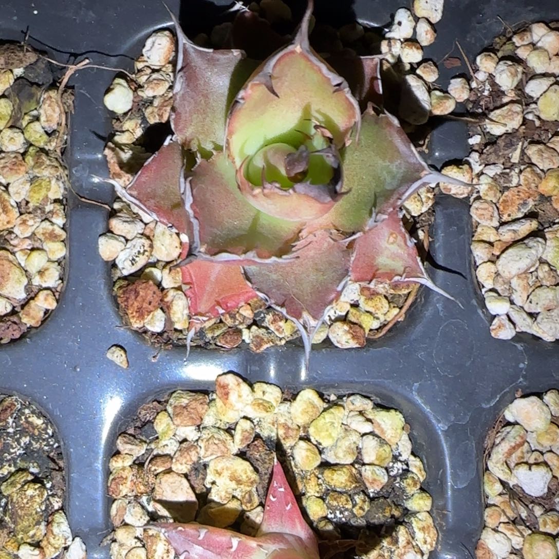 4***R实生获利达啦啦啦