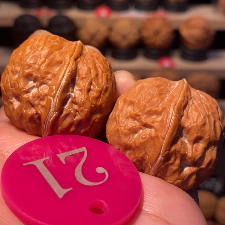 木质类金龟玉甲35尺寸