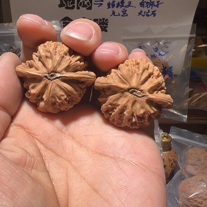 大***学核桃全品无修宫灯