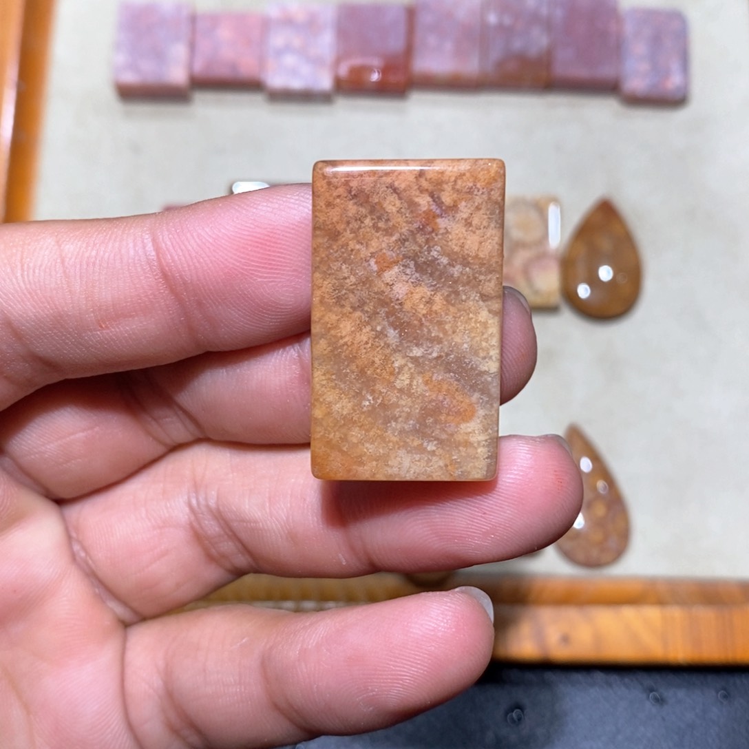 【闪购商品】硅化玉颈饰未镶嵌