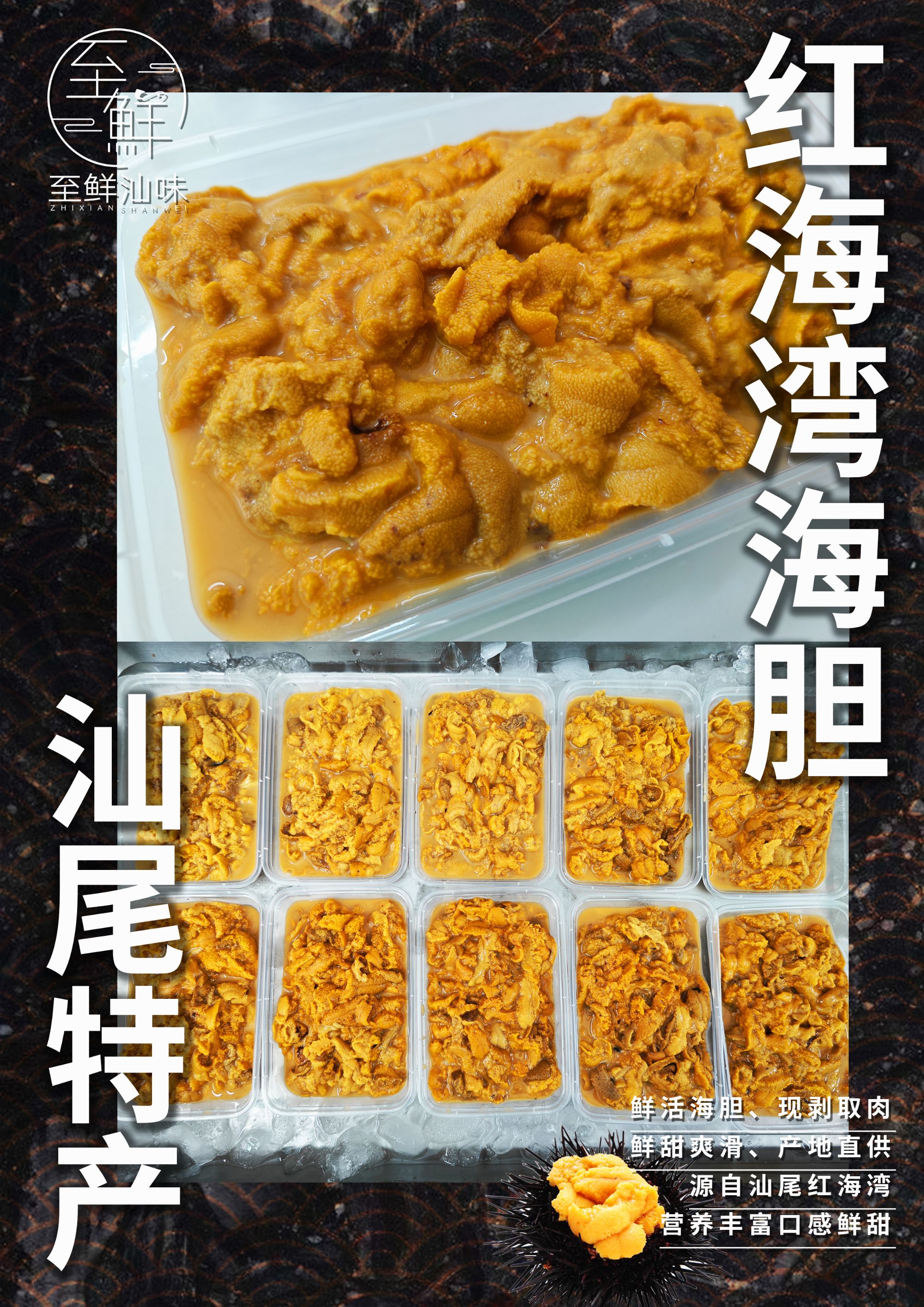 汕尾红海湾海胆顺丰发货