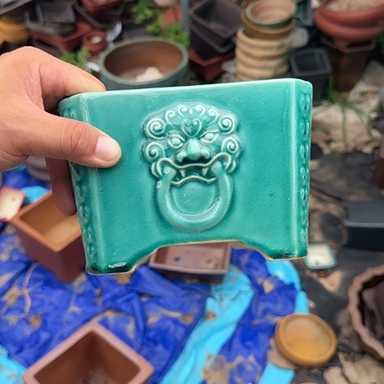 你是怎么说出这个的吗啊