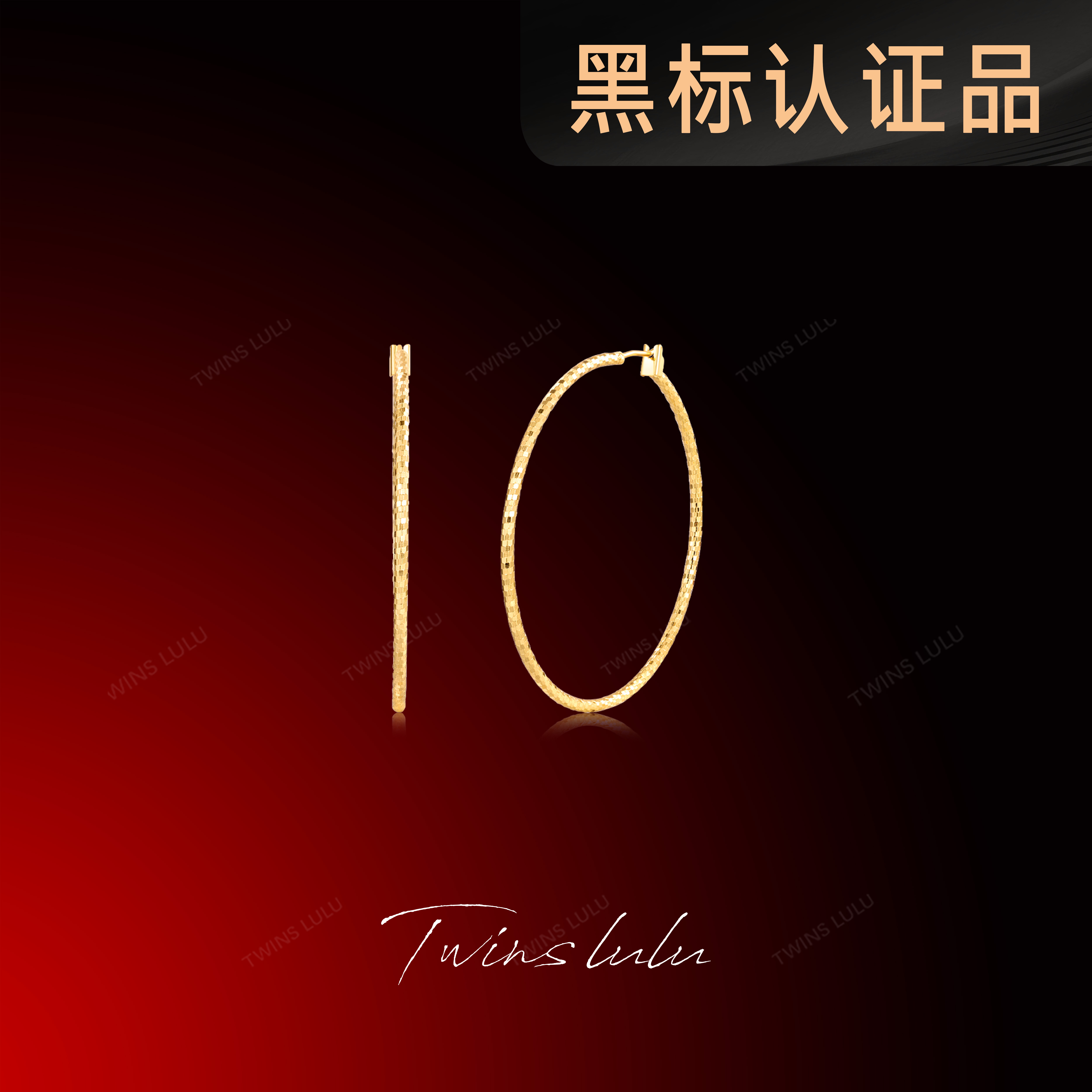 铜合金耳饰 TWINS LULU小众首饰女款2025新款素圈耳环TSL2255