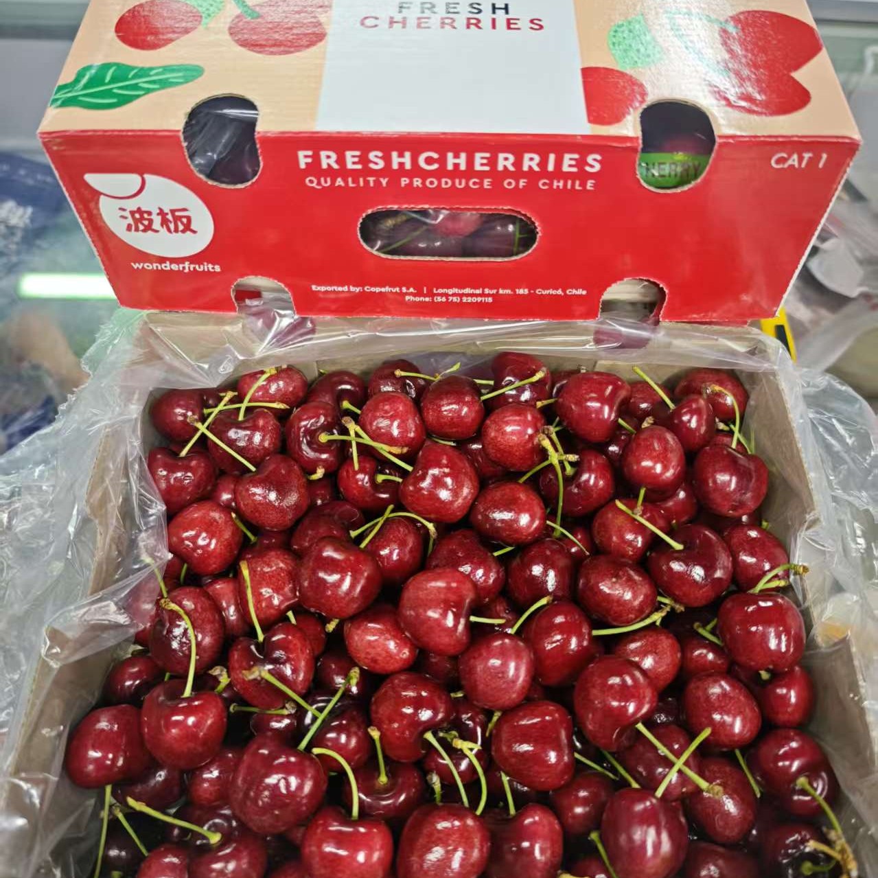 《波板》拉宾斯车厘子 3JD 2/5斤 空运内附果径卡 智利