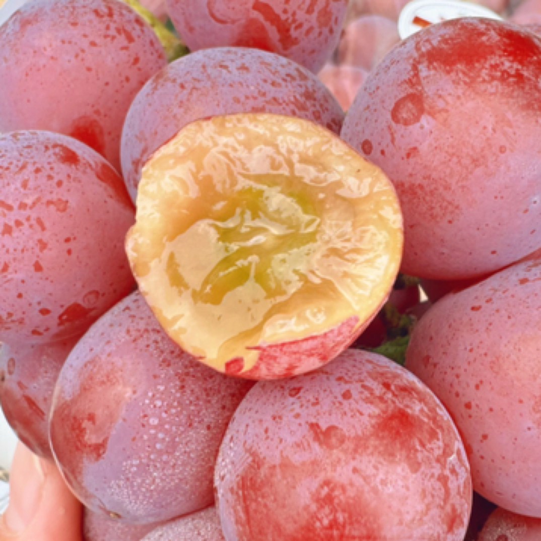 妮娜皇后葡萄皮薄无核