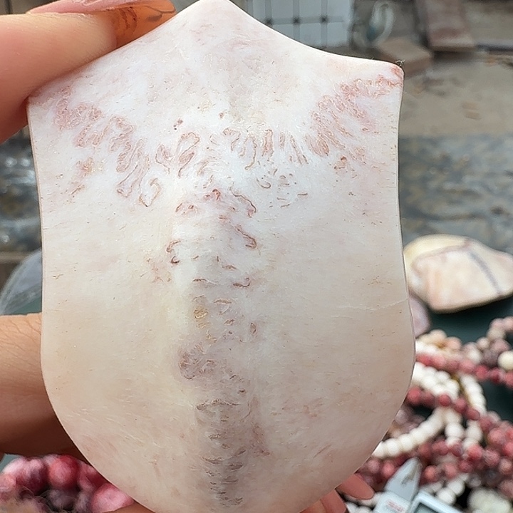 养殖鹿骨三界牌子