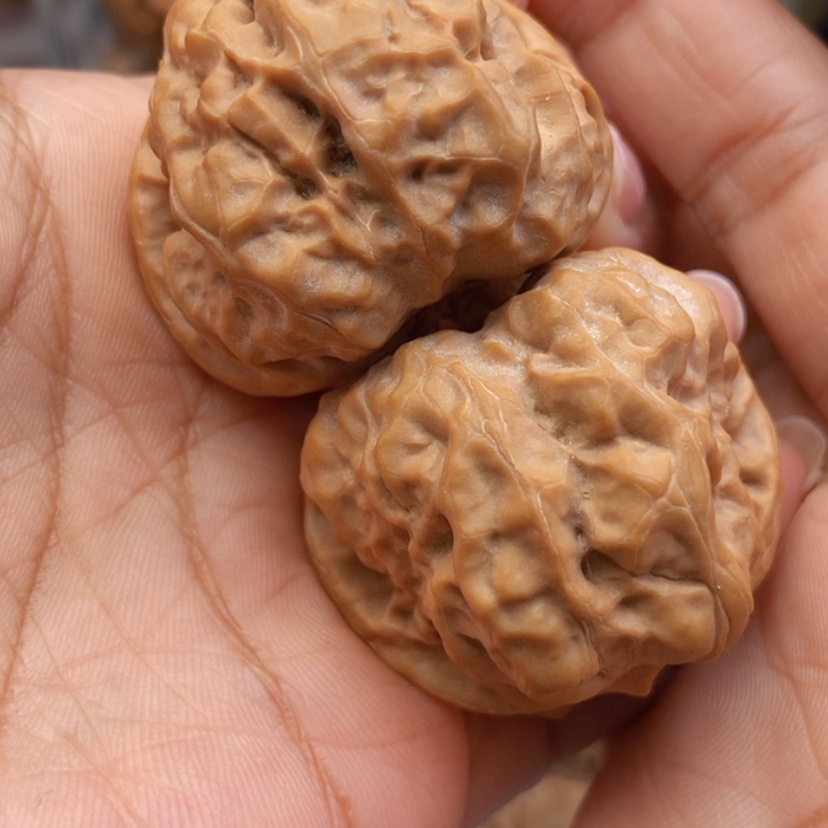 【闪购商品】文玩核桃把件39蛤蟆