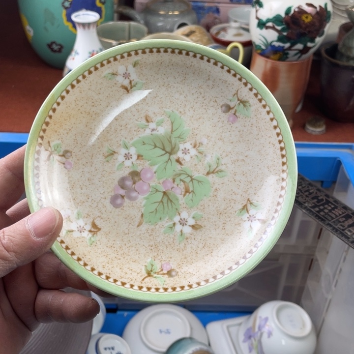 碟开播了开播了开播了