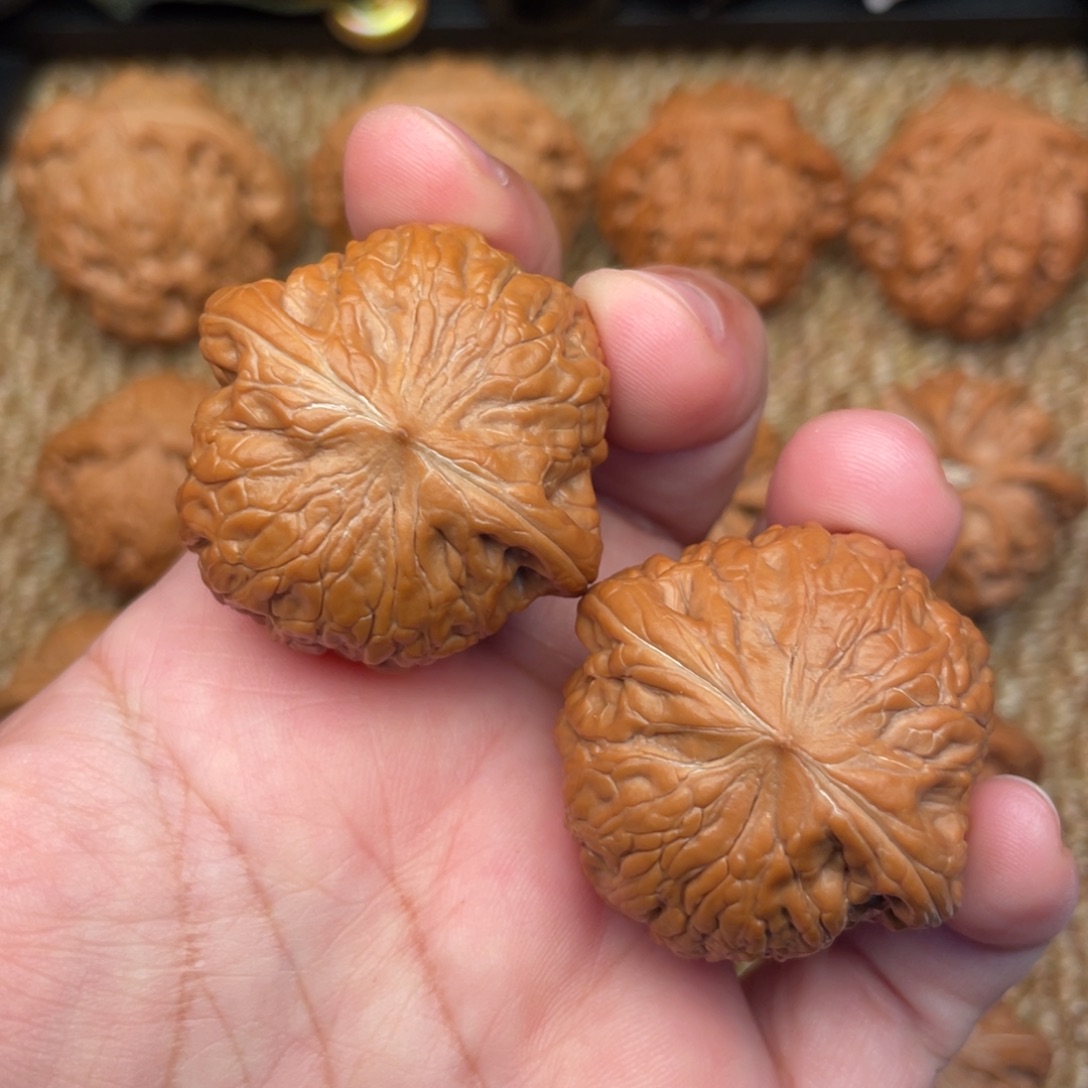 把件文玩核桃全品无修37铁锤，颜值控首选