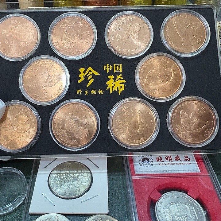 其他普通金属珍惜野生动物一套亚克力盒