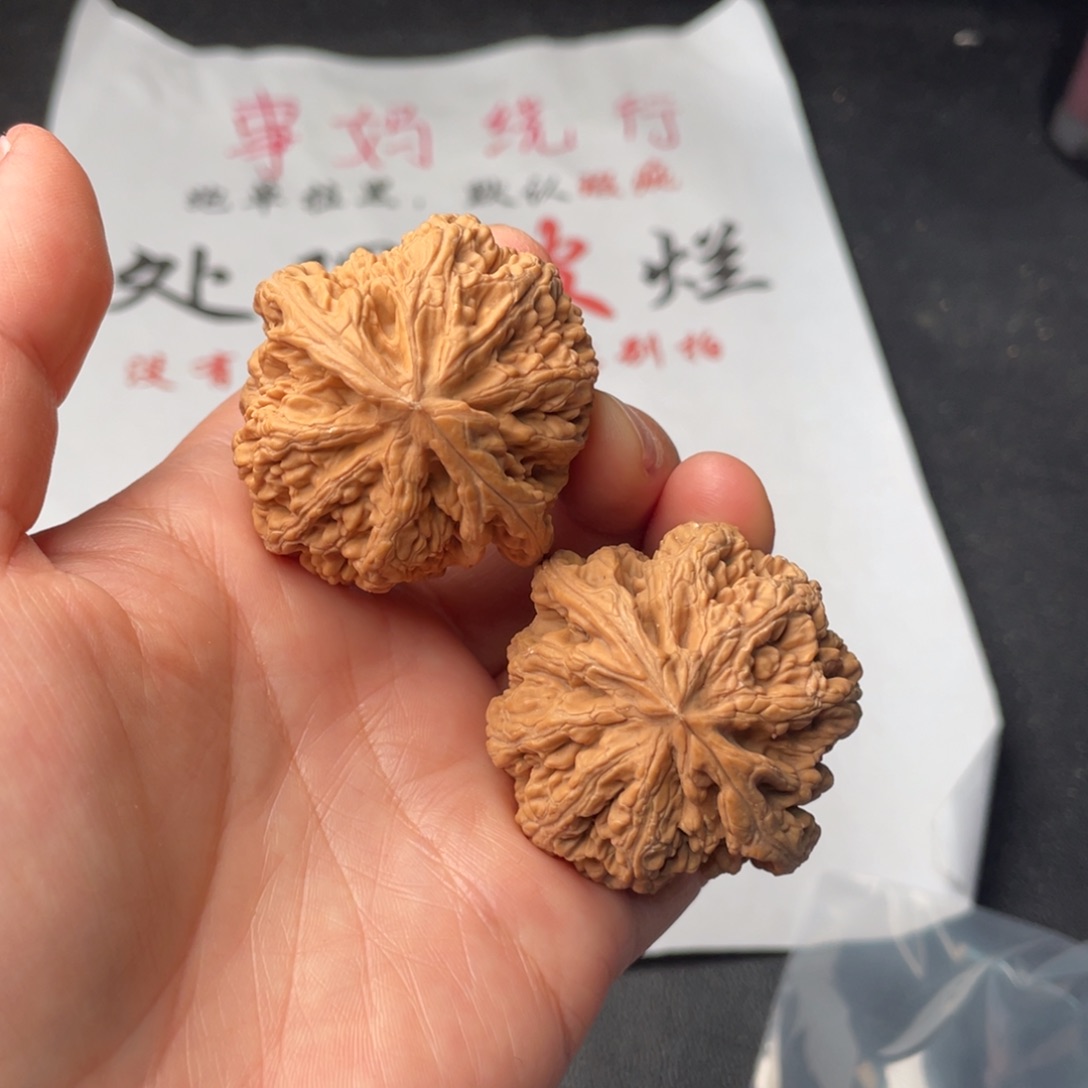 文玩核桃把件744。43粗筋