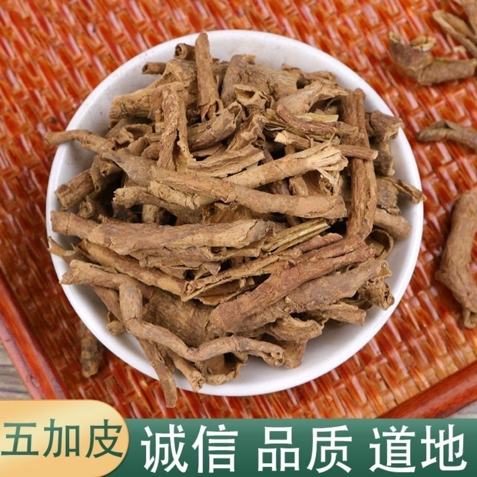 五加皮 香五加皮 等级新货 