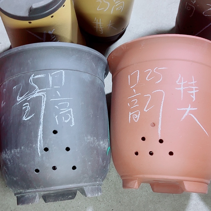 红陶紫砂紫砂紫砂