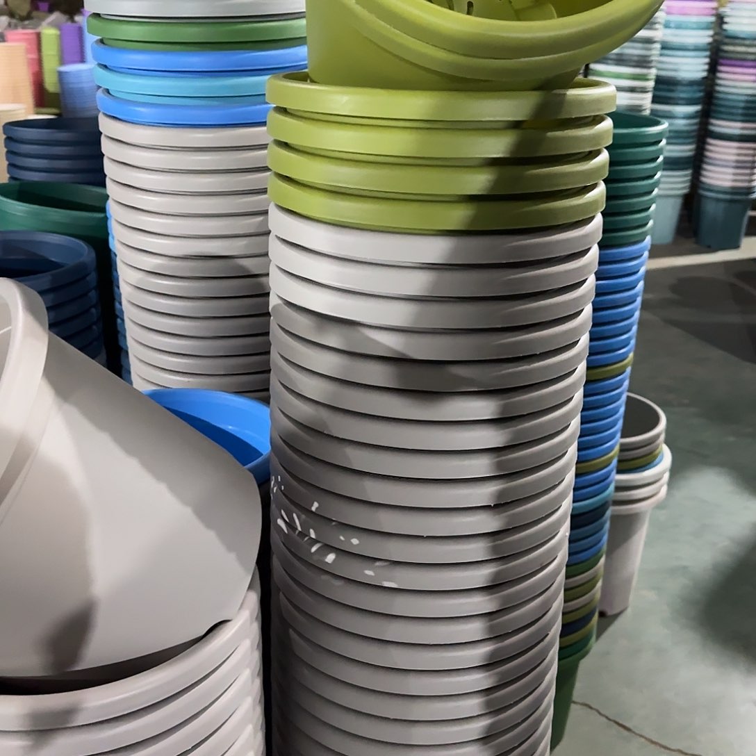 树脂四季5号带托6个果绿