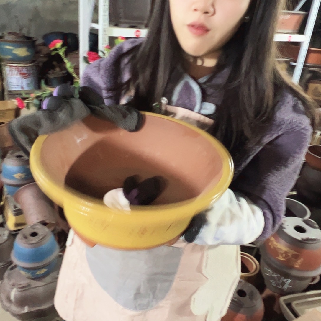 27黄票口花盆花盆花盆