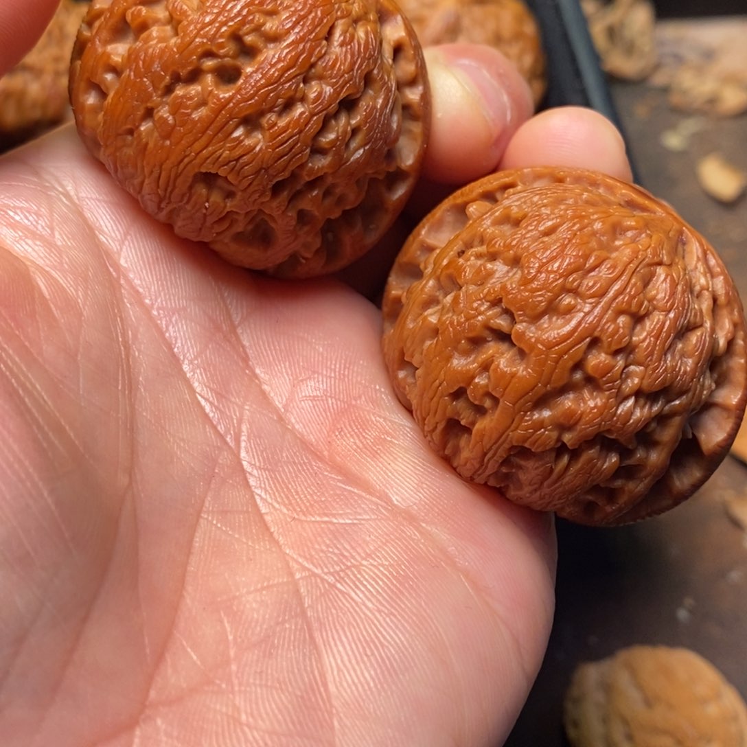 文玩核桃把件秦岭野生动物园