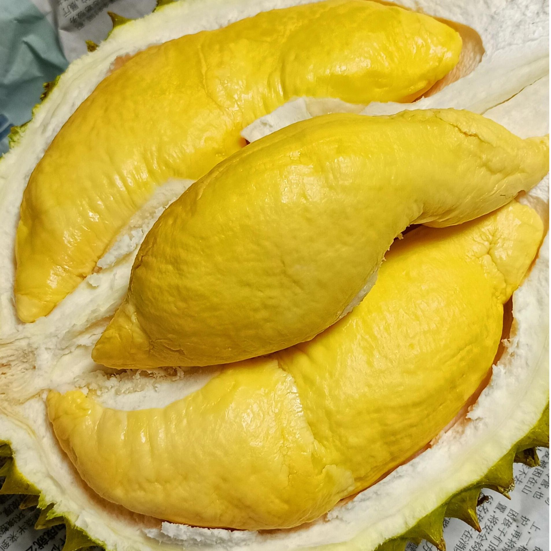 TT【微熟】干尧ri6榴莲一物一拍/路途10-15%水分蒸发果核略大介勿拍