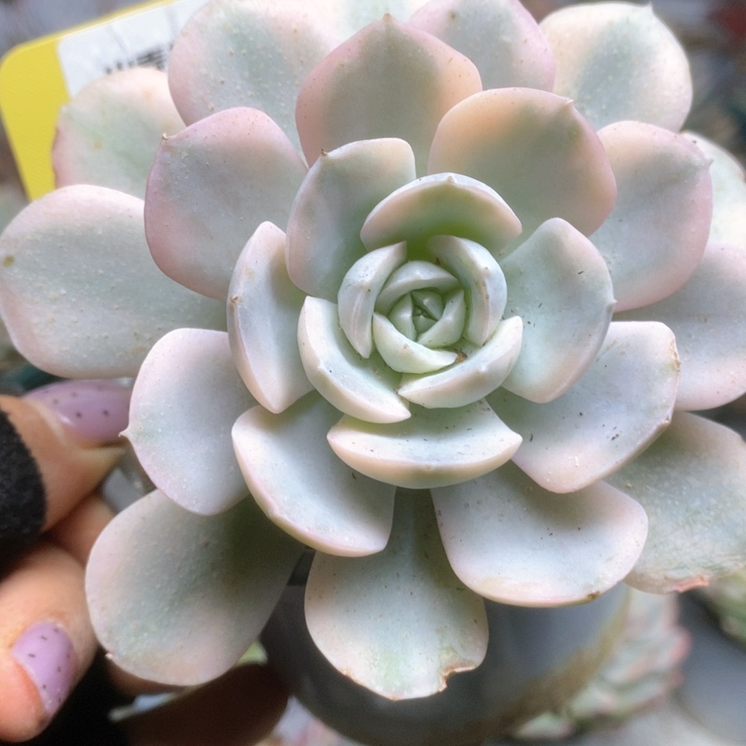 130哈哈哈哈哈哈哈哈哈