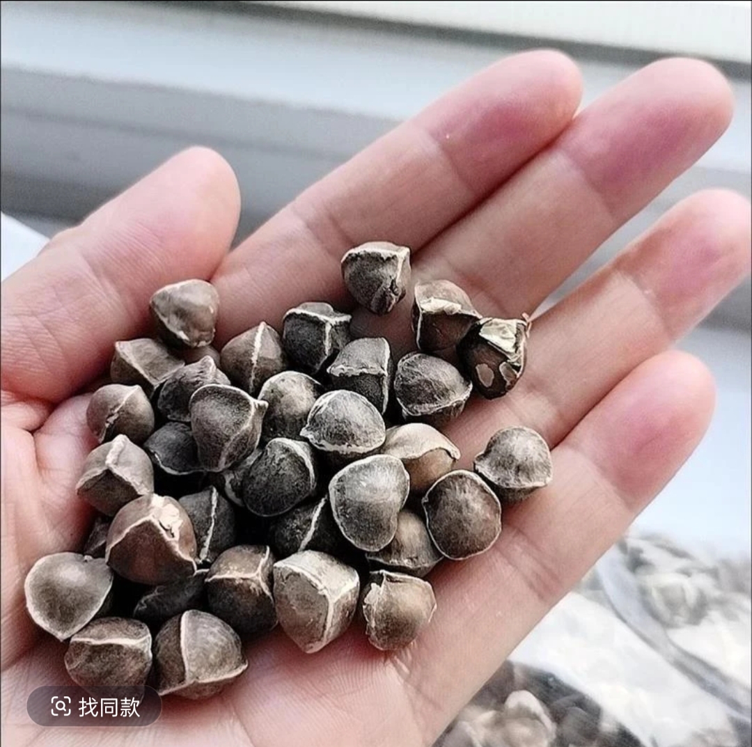 小宇专属农家山货 辣木籽