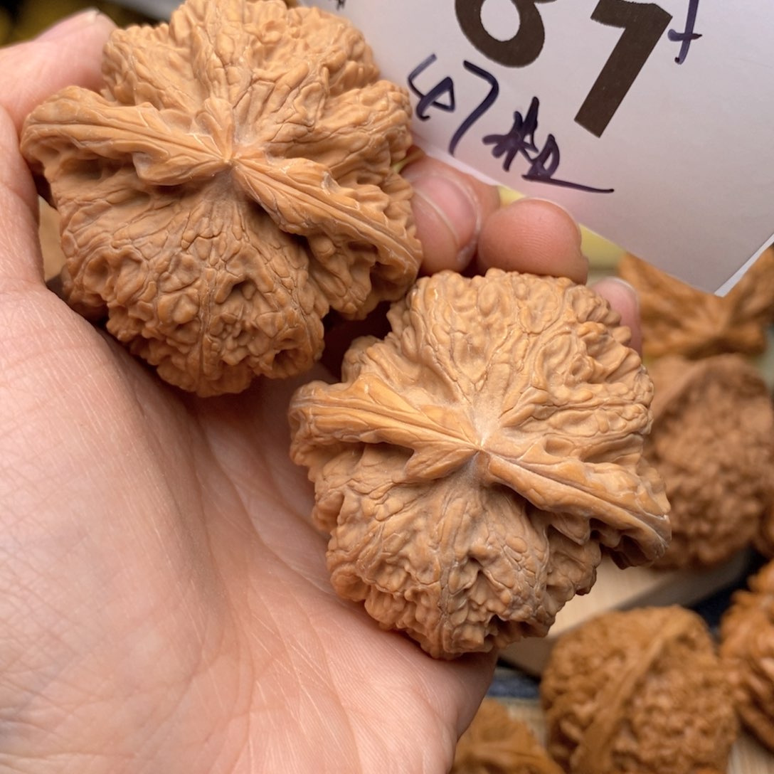 文玩核桃把件081号47粗筋