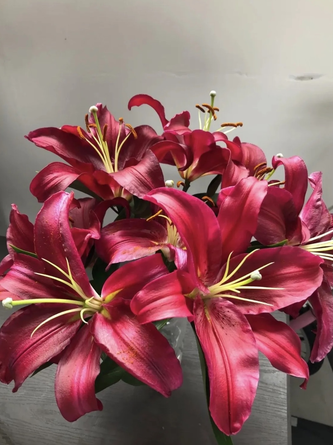 单瓣香水百合～火石～云南基地直发～顺丰冷链～当天发货