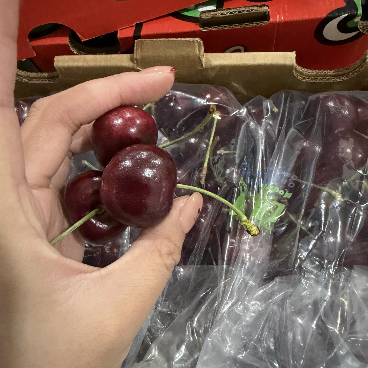 智利新鲜海运车厘子JJJD桑缇娜2kg 内附果径卡智利智利