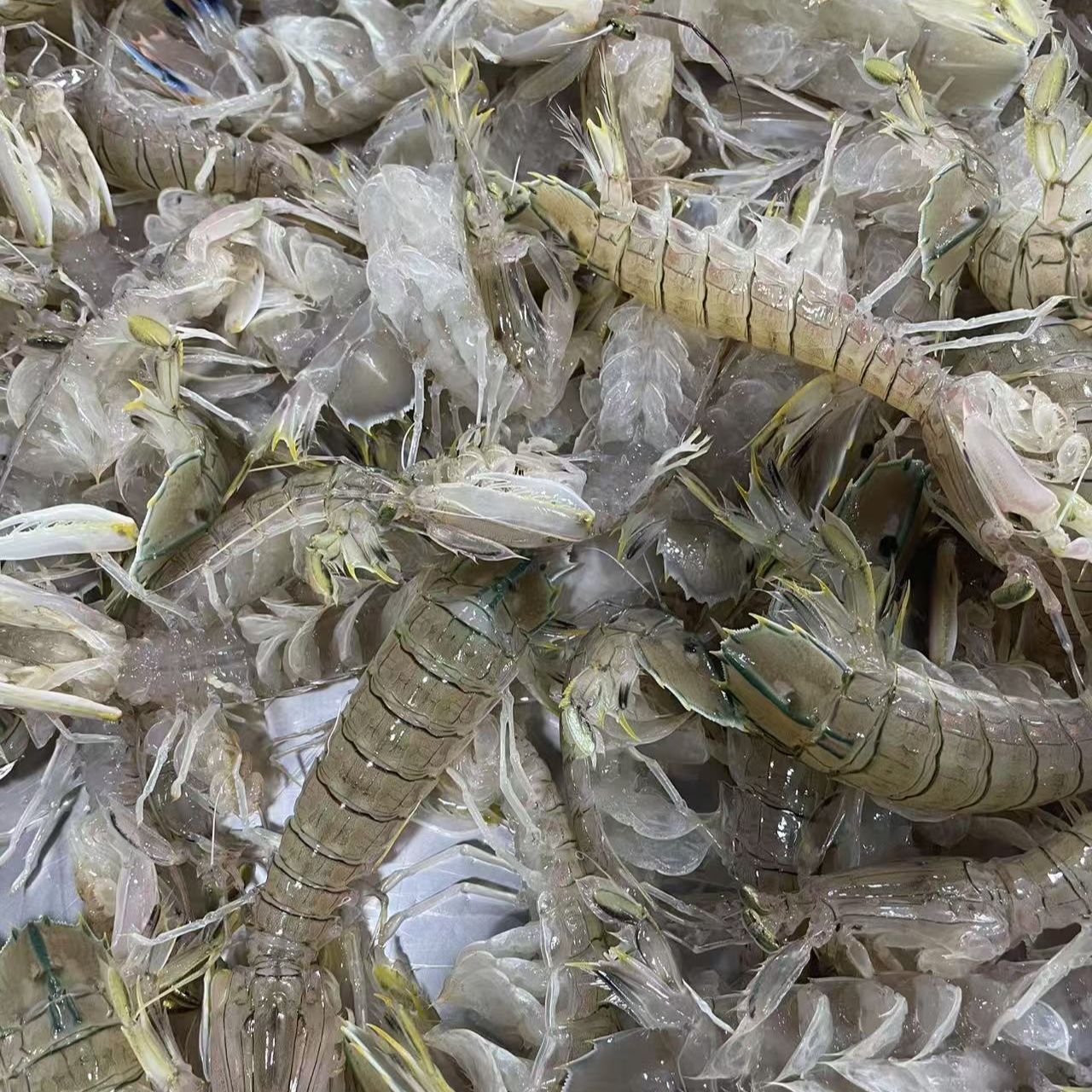 新鲜长春同城小时达皮皮虾2斤