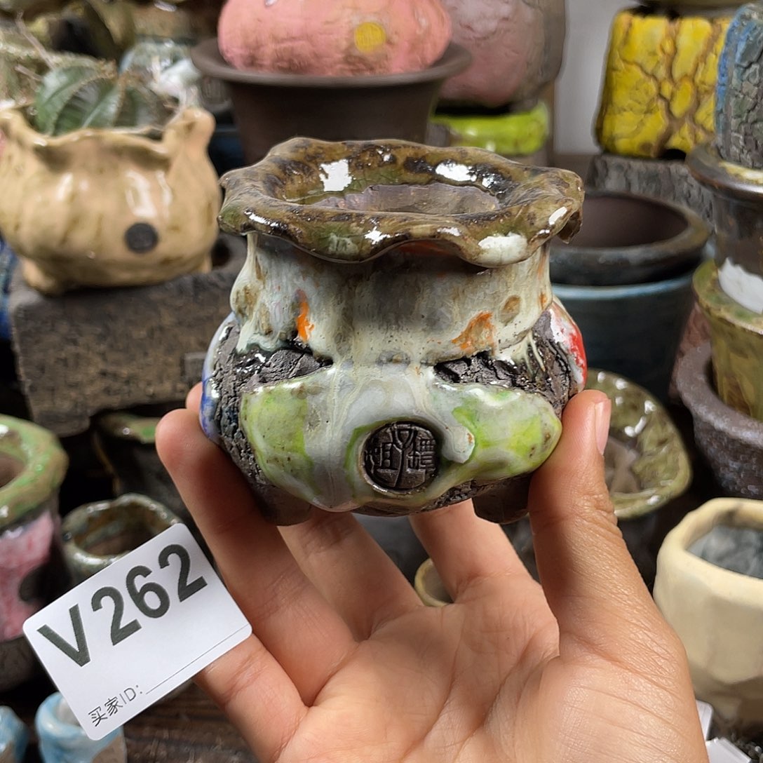 默认微次  限时福利 坛子姐花盆