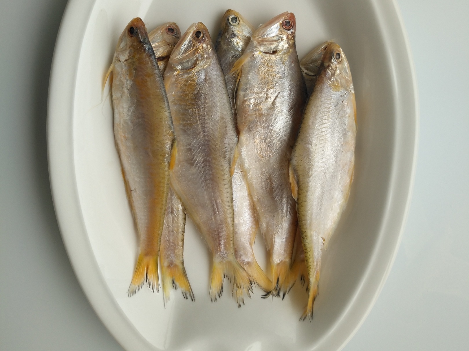 抢! 油扣鱼 大连杏树海鲜 深海捕捞 炸 炖 顺丰快递