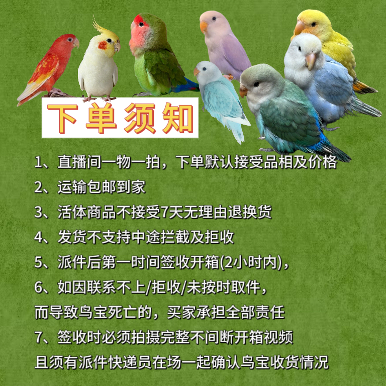 《吸，和》鹦语角专属链接手养鹦鹉一物一拍