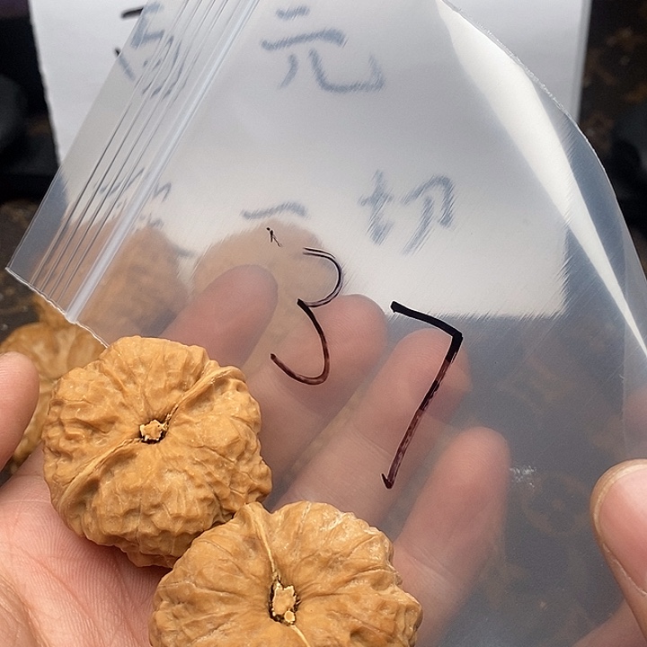 吊坠文玩核桃W63636393863838669