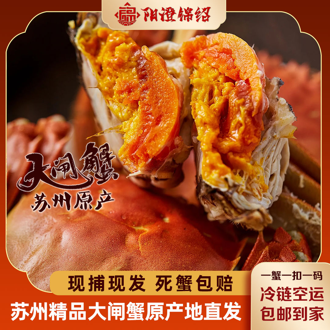 【活蟹】阳澄锦绍苏州知名品牌大闸蟹母4两8只+2只盒装苏州金标蟹