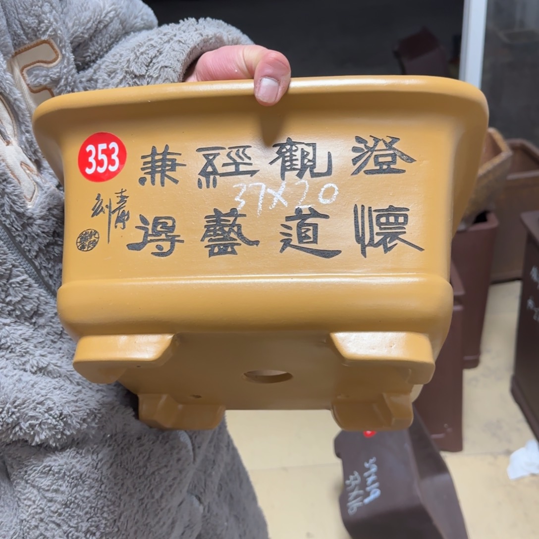 紫砂花盆呜呜呜呜