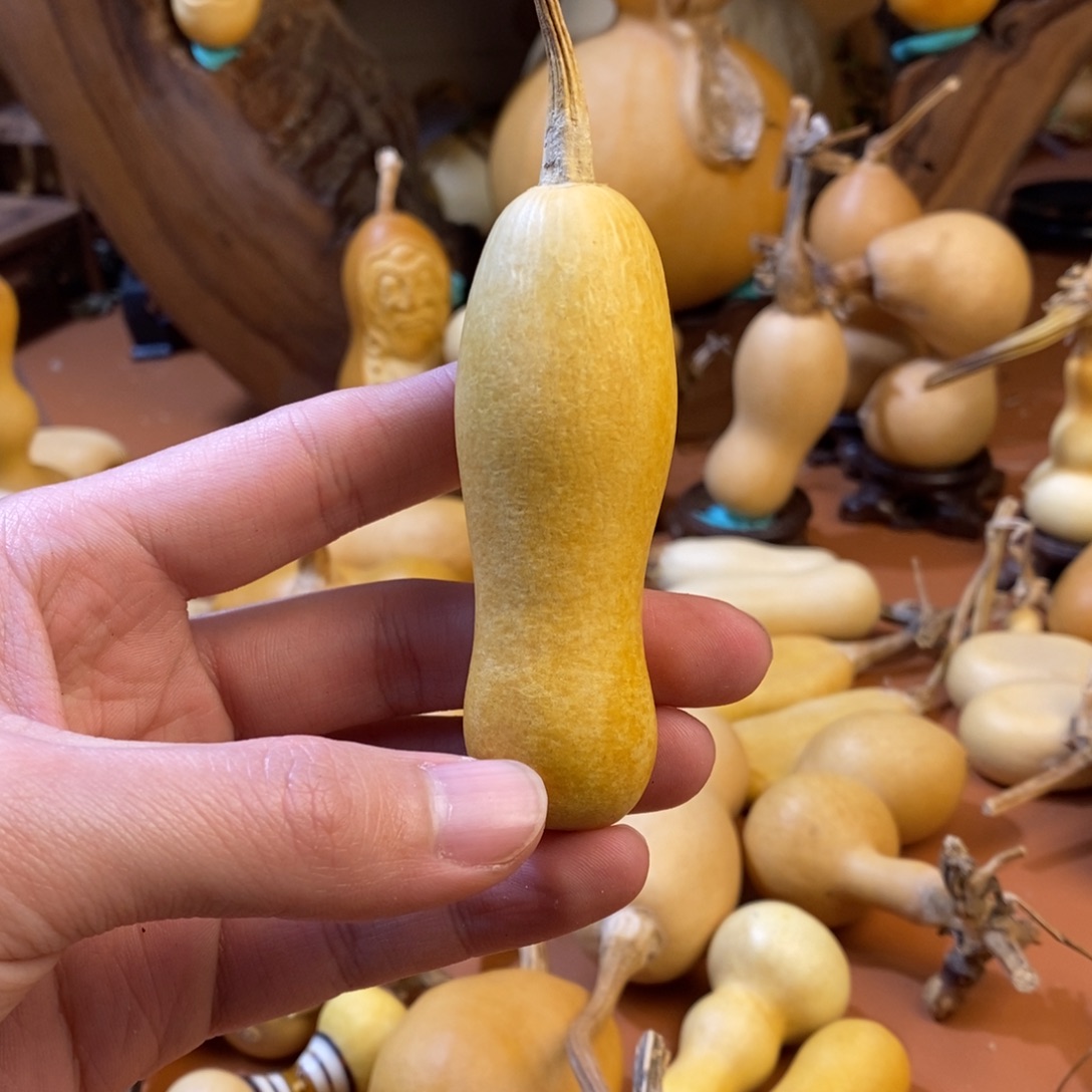 柱***子教练教练咯教练经理