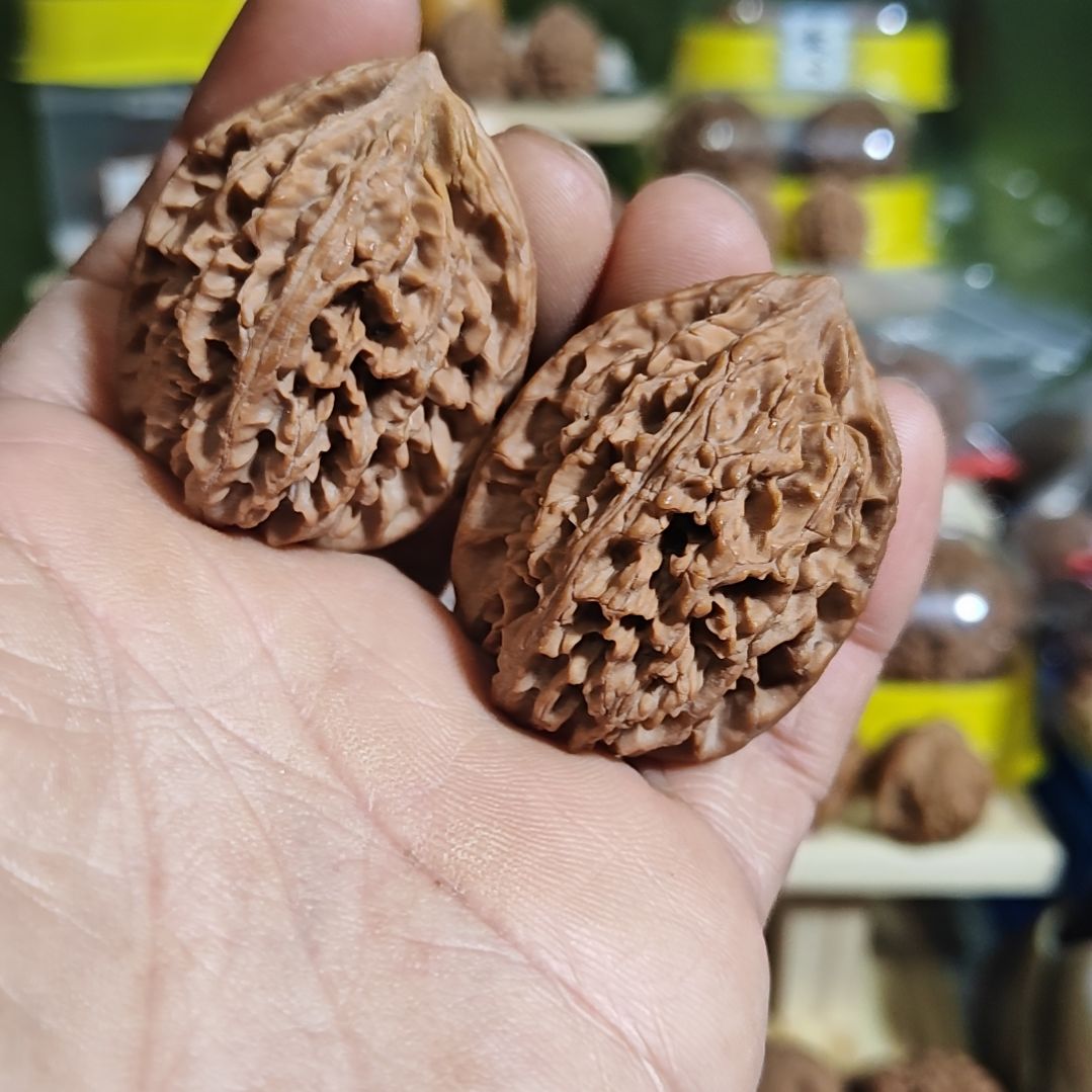 38尺，秦岭野生龙筋鸡心