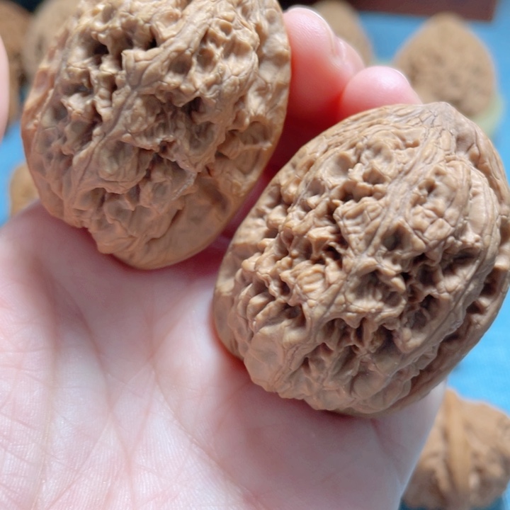 36尺寸华北将军膀骨质好