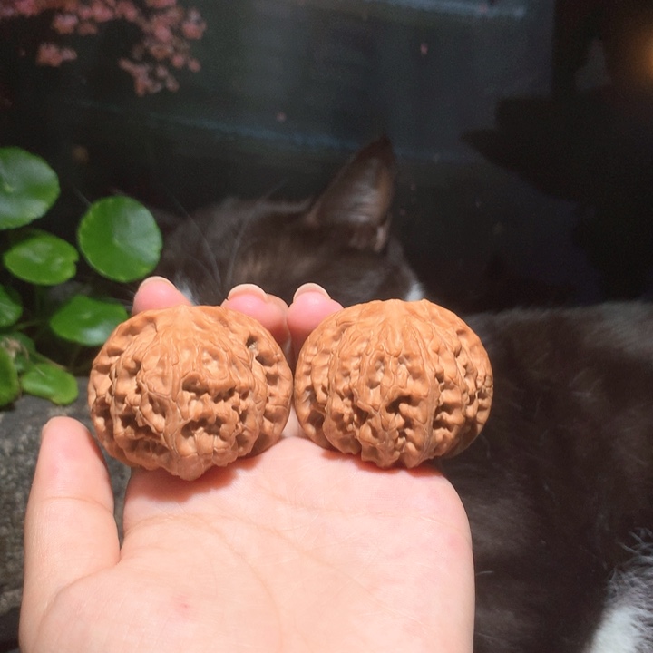 文玩核桃吊坠苹果园狮子头071413