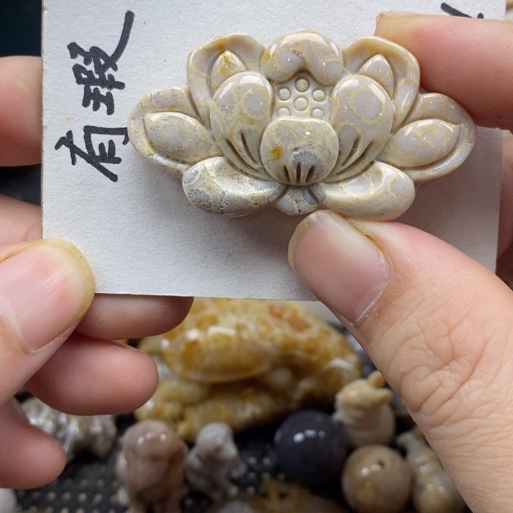 颈饰未镶嵌硅化珊瑚（珊瑚玉）