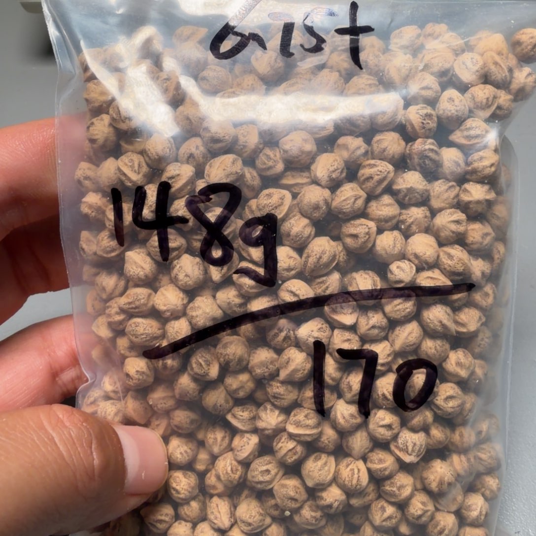 吊坠柏香籽/百香籽L*J