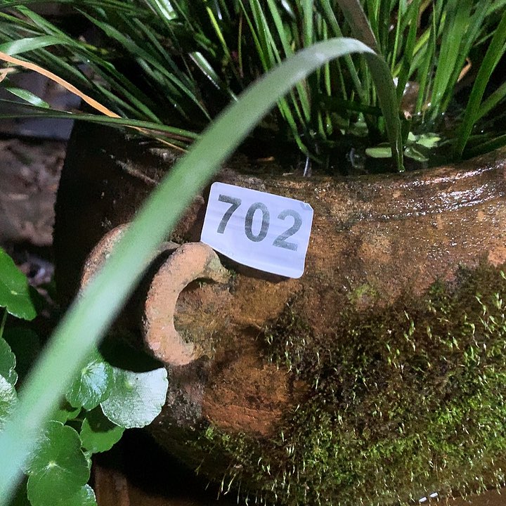 颈饰玻璃沈*t000702