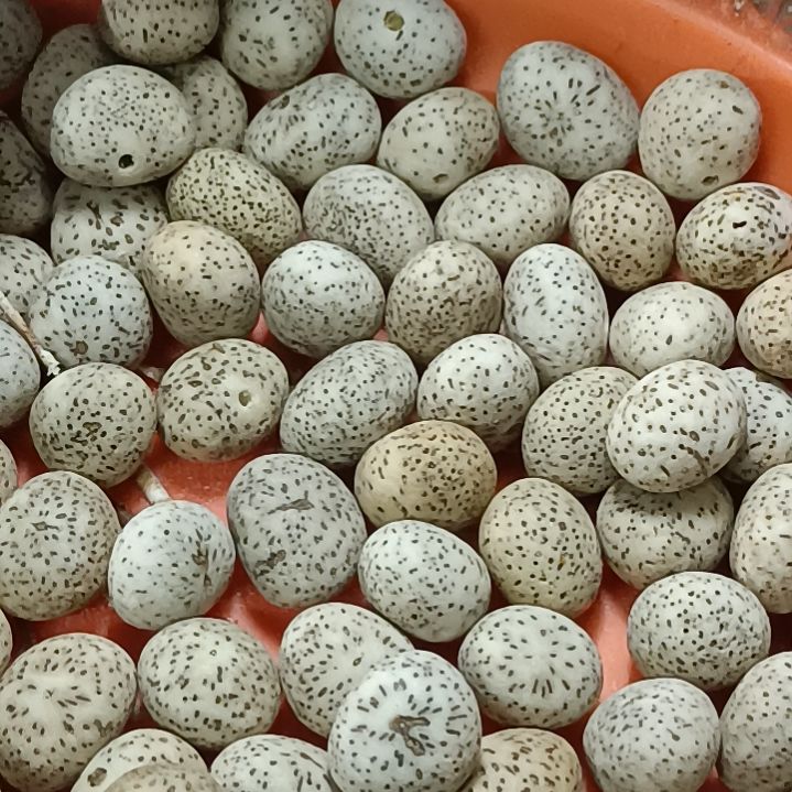 鹏***里手串星月菩提原生态9.5