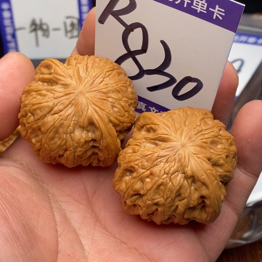 把件文玩核桃鲨***～铁锤妹妹123456689