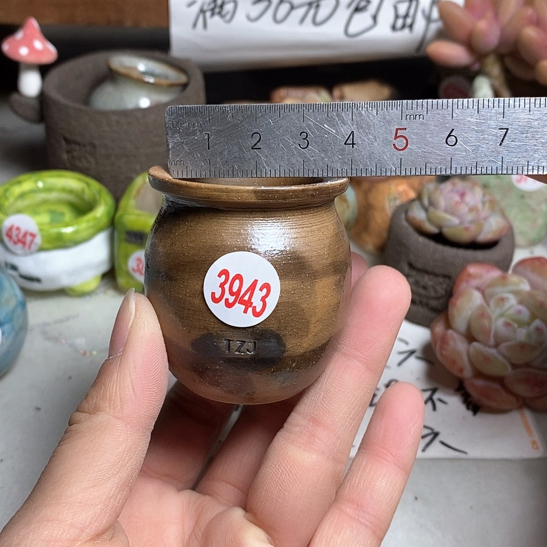 红陶拍5送一个小